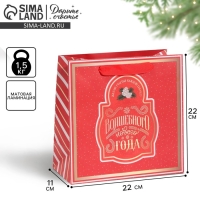 Пакет подарочный новогодний ламинированный квадратный &laquo;Вера в чудеса&raquo;, 22 х 22 х 11 см, Новый год