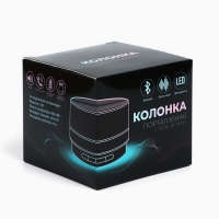 Портативная колонка &laquo;Котики&raquo;, модель PS-02, 4,9 х 7 см