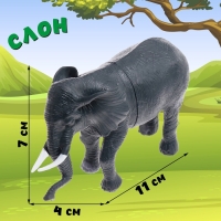 Набор животных «Животный мир», 2 фигурки Набор животных «Животный мир», 2 фигурки