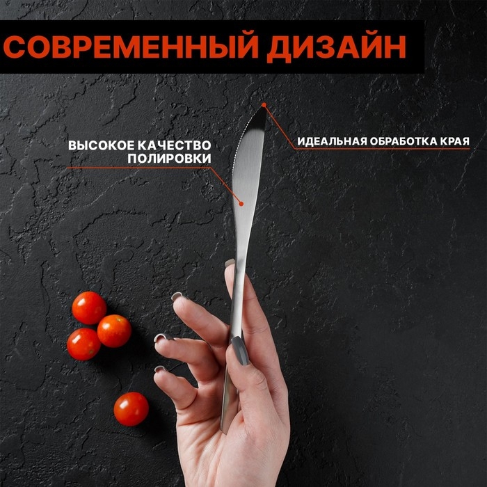 Ножи столовые из нержавеющей стали Доляна Sentiment, длина 23 см, 6 шт, цвет серебряный