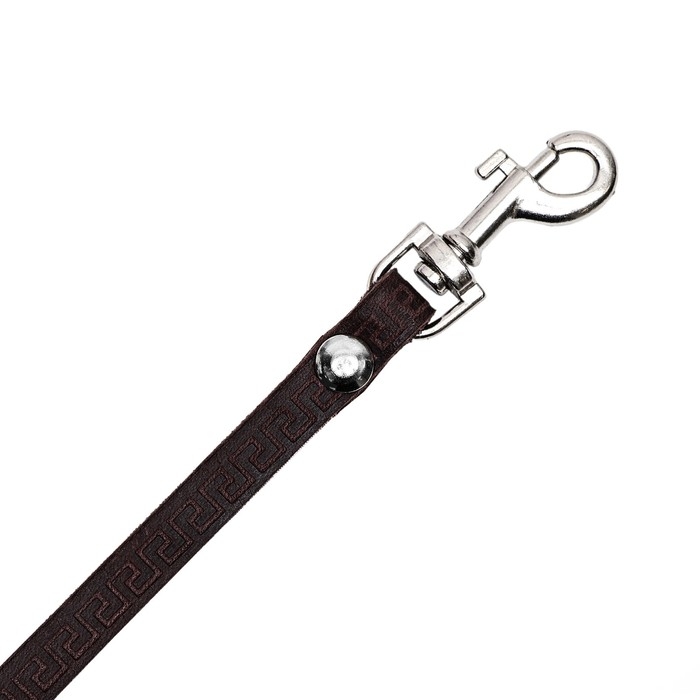 Поводок кожаный тисненый однослойный, 1.4 м х 0,8 см, коричневый Поводок кожаный тисненый однослойный, 1.4 м х 0,8 см, коричневый