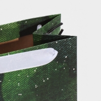 Пакет подарочный под бутылку, упаковка, &laquo;С днём защитника Отечества&raquo;, 36 х 13 х 10 см