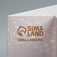 Пакет подарочный крафтовый с пластиковым окном, упаковка, &laquo;Самой нежной&raquo;, 24 х 20 х 11 см