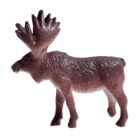 Набор фигурок животных &laquo;Удивительный мир&raquo;, 12 предметов