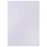 Набор 5л ватман чертежный А0 (840х1189) 160г/м2 ВА0 Набор 5л ватман чертежный А0 (840х1189) 160г/м2 ВА0