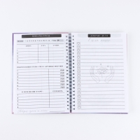 Дневник осознанности &laquo;Вселенная внутри тебя&raquo; в тв. обл. с тиснением А5, 86 л