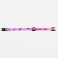 Ошейник для собак и кошек с фастексом &laquo;Маленькая леди&raquo;, 30х1 см