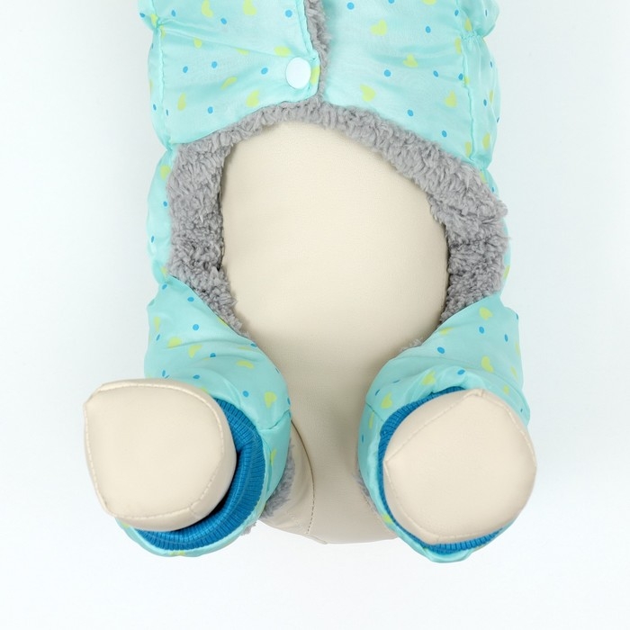 Комбинезон Комбинезон "нежный путь" на меховом подкладе, размер XXL (ДС 45, ОШ 45, ОГ 55 см), голубой