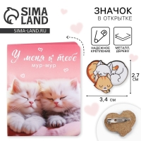 Значок на открытке &laquo;Котики&raquo;, 10 х 8 см