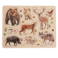 Рамка-вкладыш &laquo;Лесные животные&raquo;