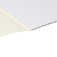 Альбом для черчения А4, 10 листов, блок 200 г/м², на клею, ErichKrause, без рамки Альбом для черчения А4, 10 листов, блок 200 г/м², на клею, ErichKrause, без рамки