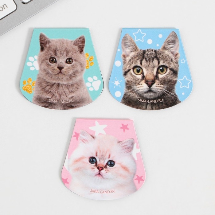 Закладки магнитные для книг, 3 шт &laquo;Котики&raquo;