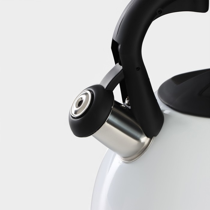 Чайник со свистком из нержавеющей стали Доляна &laquo;Сердце&raquo;, 3 л, с индикатором нагрева