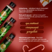 Новый год. Новогодний подарочный набор косметики &laquo;Новогодние огни&raquo;, с ароматом миндаля и мяты. Зеленая серия