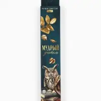 Набор ручек пластик софт-тач "Мудрый учитель", 2 шт, синяя паста 0.7 мм