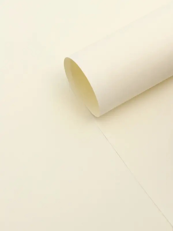 Бумага упаковочная крафт &laquo;Молочный&raquo;,50&times;70 см