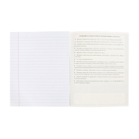 Комплект предметных тетрадей 48 листов, 10 предметов Hatber &laquo;Буквица&raquo;, обложка мелованный картон, матовая ламинация, тиснение фольгой, с интеракт...