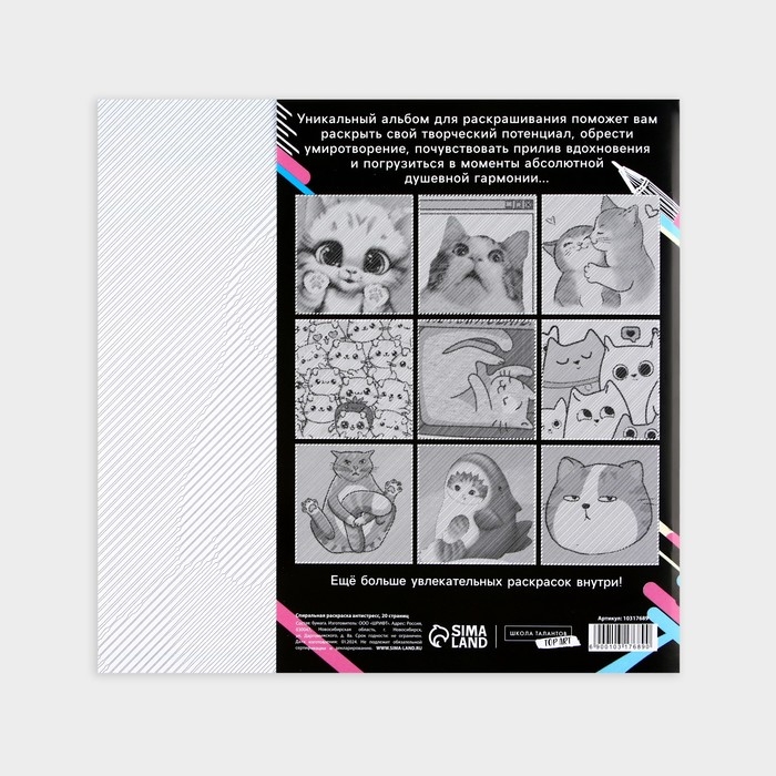 Раскраска-антистресс по полоскам &laquo;Озорные котята&raquo;, 21 х 21 см