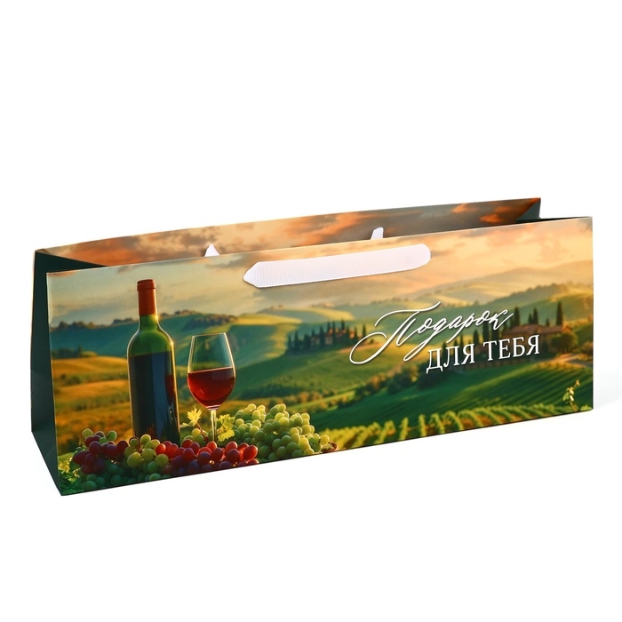 Пакет под бутылку горизонтальный &laquo;Подарок для тебя&raquo;, 36 &times; 10 &times; 13 см