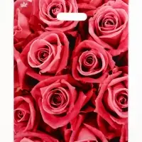 Пакет "Джейми", полиэтиленовый с вырубной ручкой, л 40х31 см, 60 мкм