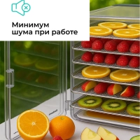 Сушилка для овощей и фруктов, дегидратор T-PFD42149