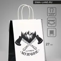 Пакет подарочный крафт &laquo;Настоящему мужчине&raquo;, 21&times;11&times;27 см