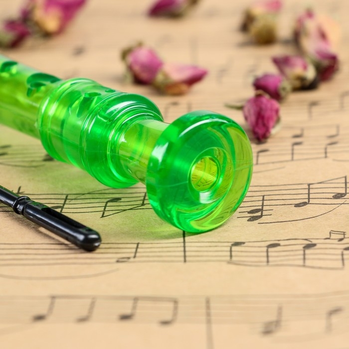 Блокфлейта Music Life, 8 отверстий, немецкая система, зеленая