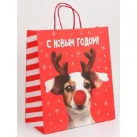 Набор новогодних крафтовых пакетов &laquo;С Новым годом тебя!&raquo;