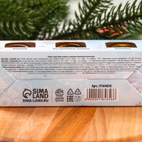 Набор &laquo;Счастливый новый год&raquo;: 2 крем-меда и варенье с шишками по 30 г.