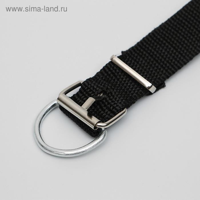 Ошейник для животных