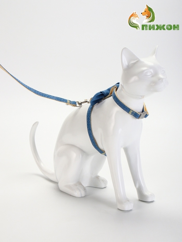 Комплект амуниции "Леди и Джентельмен", поводок 120 х 1 см, синий