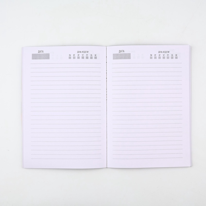 Подарочный набор "С 23 февраля. Сильному духом" ежедневник А5, 80 листов, наклейки и ручка