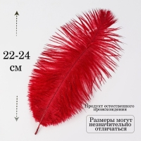 Перо для декора 1 шт., размер 24 см, цвет бордовый Перо для декора 1 шт., размер 24 см, цвет бордовый