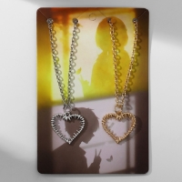 Кулоны &laquo;Неразлучники&raquo; сердца с шипами, цвет серебряно-золотой, 45 см