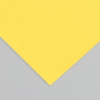 Лист для творчества иск.кожа "Рисунок Личи" ярко-жёлтый лист 33х20 см толщина 0,7 мм Лист для творчества иск.кожа "Рисунок Личи" ярко-жёлтый лист 33х20 см толщина 0,7 мм