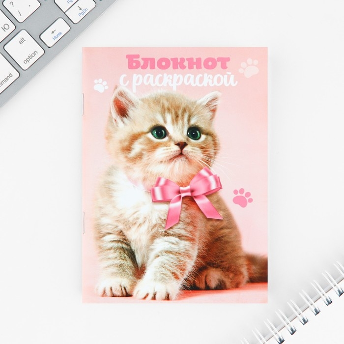 Набор блокнот А6, 32 листа, наклейки, магнитные закладки &laquo;Милый котенок&raquo;