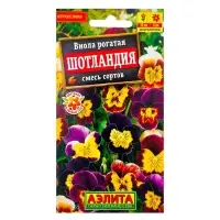 Набор семян Виола "Шотландия", 5 шт.