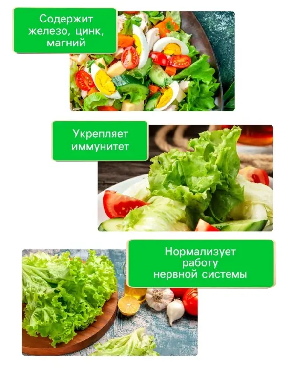 Семена Салат "Букет", 0,5 г