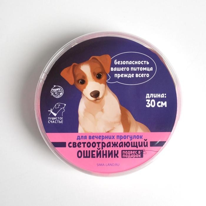 Ошейник светоотражающий с адресником, 30&times;1 см, капрон, розовый
