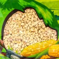 Наполнитель кукурузный для мелких животных и рептилий, 5л, серия LITTLE VILLAGE