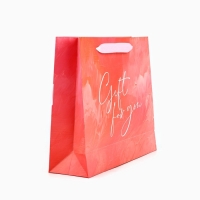 Пакет ламинированный с лентой &laquo;С любовью&raquo;, M 30 &times; 9 &times; 26 см