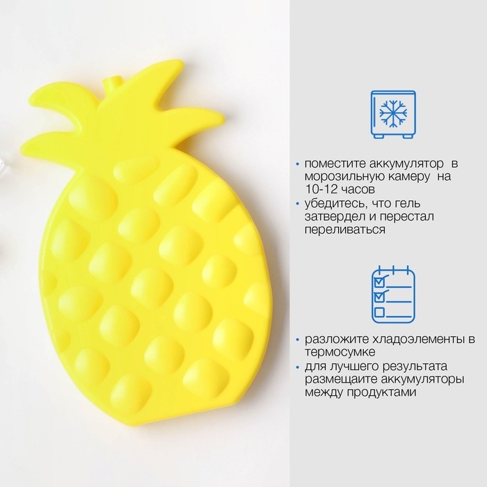Аккумулятор холода гелевый "Мастер К. Ананас", набор 2 штуки по 250 мл, хладоэлемент для термосумок,