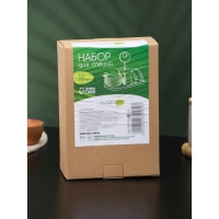 Набор для специй на деревянной подставке BellaTenero, 4 предмета: солонка 70 мл, перечница 70 мл, сахарница 250 мл, салфетница, цвет белый