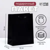 Пакет подарочный ламинированный &laquo;Чёрный&raquo;, S 12&times;15&times;5.5 см