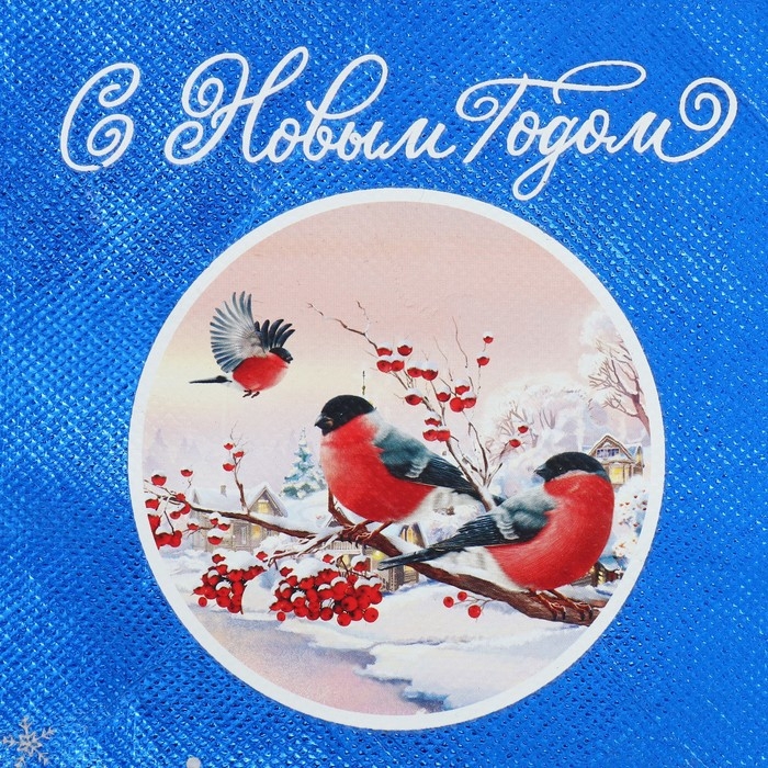 Пакет-мешок из нетканного материала &laquo;Поверь в сказку&raquo;, 25 х 32 см, Новый год