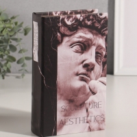 Сейф-книга дерево кожзам "Эстетика скульптуры" 21х13х5 см
