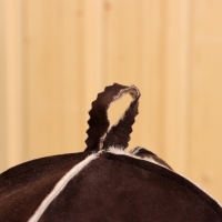 Набор для бани из овчины 2 предмета шапка и коврик Набор для бани из овчины 2 предмета шапка и коврик