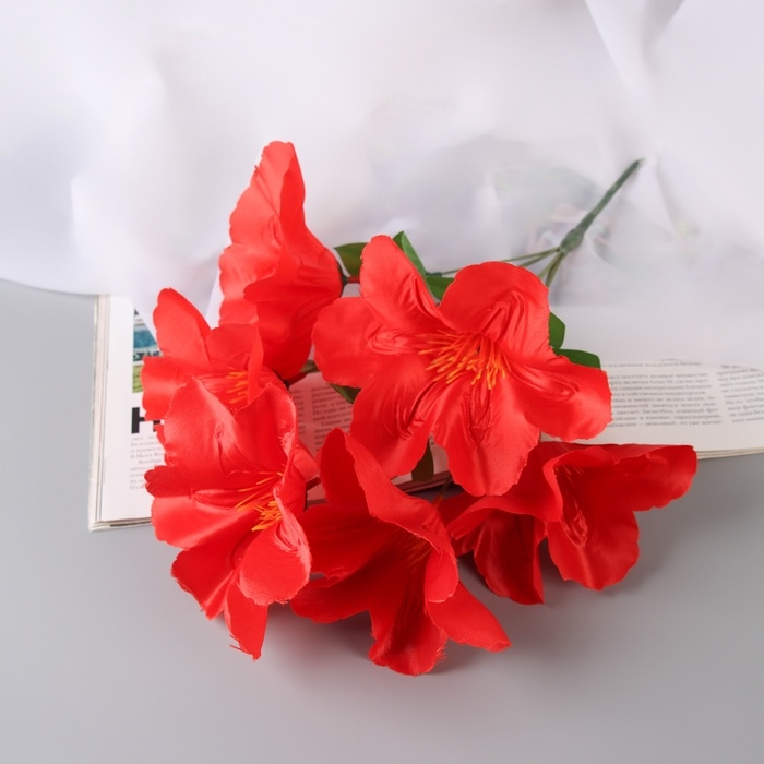 Букет Букет "Адениум экстра галант" d-14 см 30 см, микс