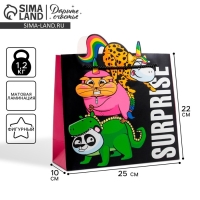 Пакет подарочный, упаковка, «Surpprise», 25 х 26 х 10 см Пакет подарочный, упаковка, «Surpprise», 25 х 26 х 10 см