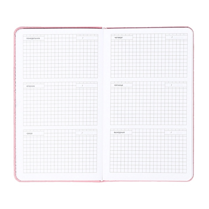 Планинг карманный недатированный 80 листов, 100х170мм, deVENTE.Elizabeth, твердая обложка кожзам с поролоном, хлястик, блок 70, розовый